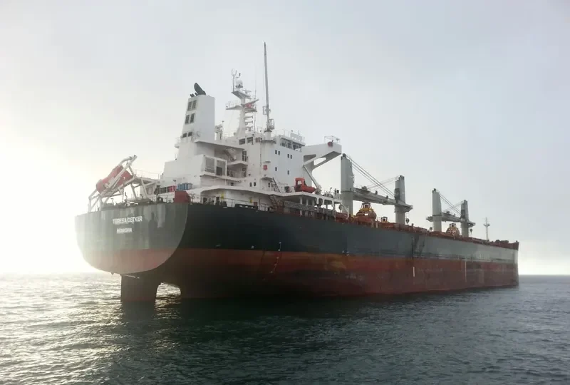 TERESA OETKER Bulk Carrier IMO 9490753
