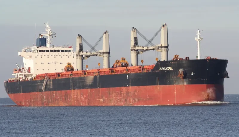 ELIAS Bulk Carrier IMO 9490777 photo 2