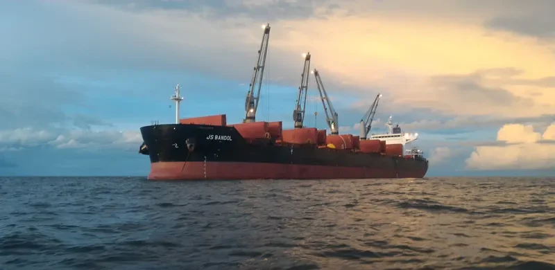 ELIAS Bulk Carrier IMO 9490777 photo 3