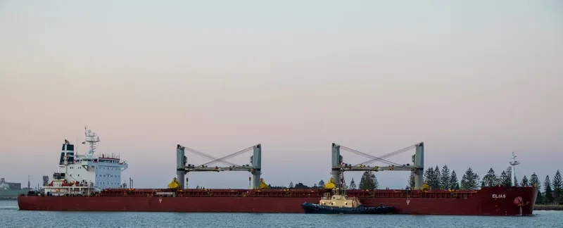 ELIAS Bulk Carrier IMO 9490777 photo 10