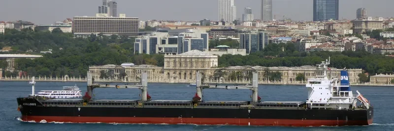ACHILLEAS S. Bulk Carrier IMO 9490789 photo 3