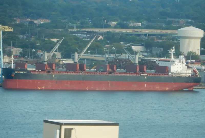 SPAR CORVUS Bulk Carrier IMO 9490791 photo 2