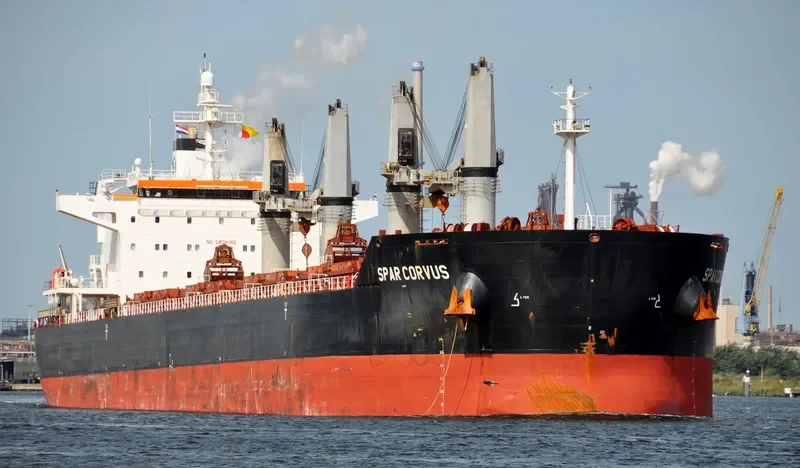 SPAR CORVUS Bulk Carrier IMO 9490791 photo 6