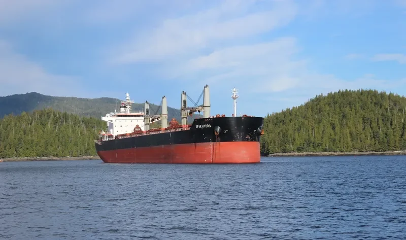 SPAR HYDRA Bulk Carrier IMO 9490806