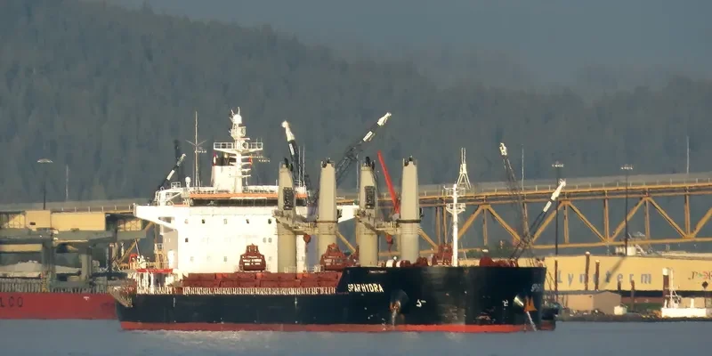 SPAR HYDRA Bulk Carrier IMO 9490806 photo 2