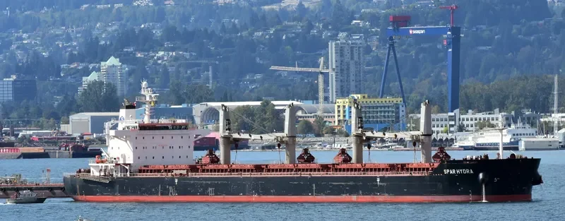 SPAR HYDRA Bulk Carrier IMO 9490806 photo 3