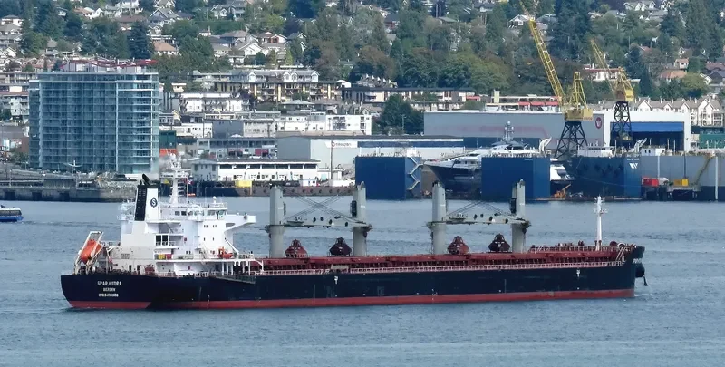 SPAR HYDRA Bulk Carrier IMO 9490806 photo 4