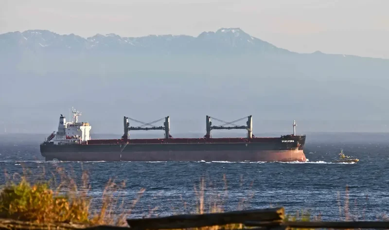 SPAR HYDRA Bulk Carrier IMO 9490806 photo 6