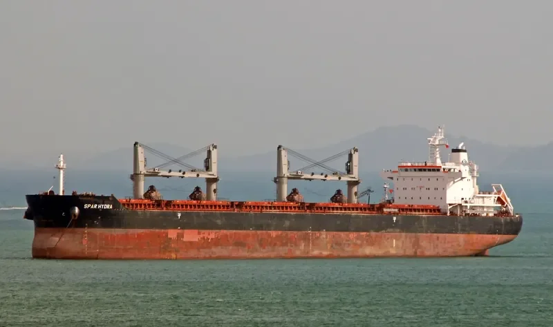SPAR HYDRA Bulk Carrier IMO 9490806 photo 7