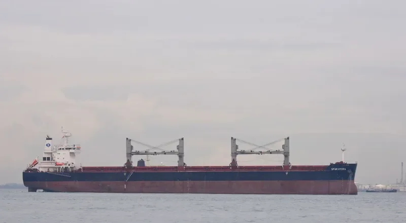 SPAR HYDRA Bulk Carrier IMO 9490806 photo 8