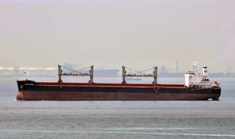 SPAR HYDRA Bulk Carrier IMO 9490806 photo 9