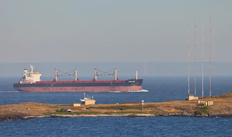 SPAR HYDRA Bulk Carrier IMO 9490806 photo 10