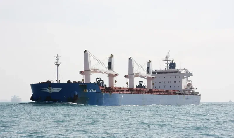 INGWAR SELMER Bulk Carrier IMO 9490818 photo 4
