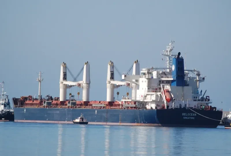 INGWAR SELMER Bulk Carrier IMO 9490818 photo 6