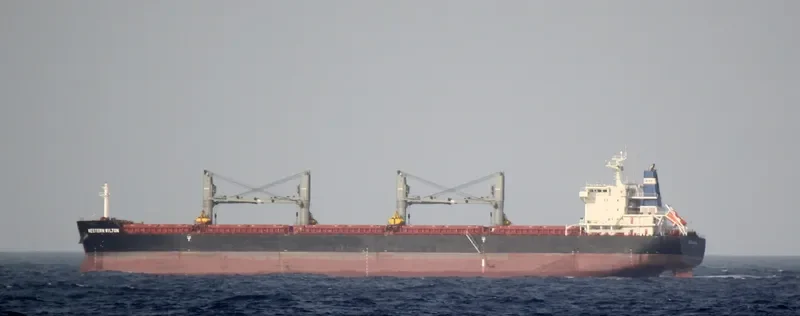SANKATY EAGLE Bulk Carrier IMO 9490820 photo 3