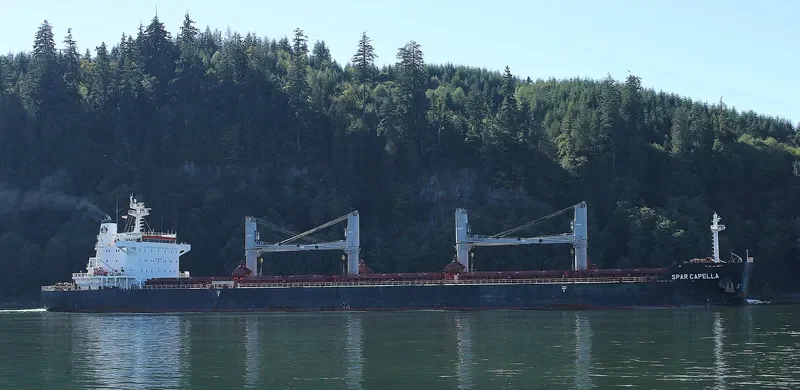 SPAR CAPELLA Bulk Carrier IMO 9490844 photo 4