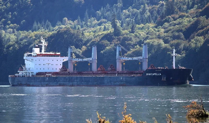 SPAR CAPELLA Bulk Carrier IMO 9490844 photo 5