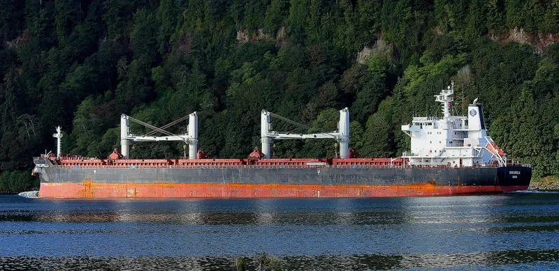 SPAR CAPELLA Bulk Carrier IMO 9490844 photo 6