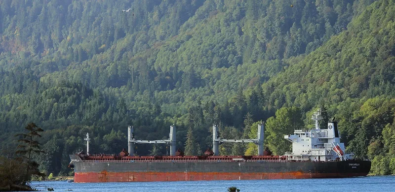 SPAR CAPELLA Bulk Carrier IMO 9490844 photo 7