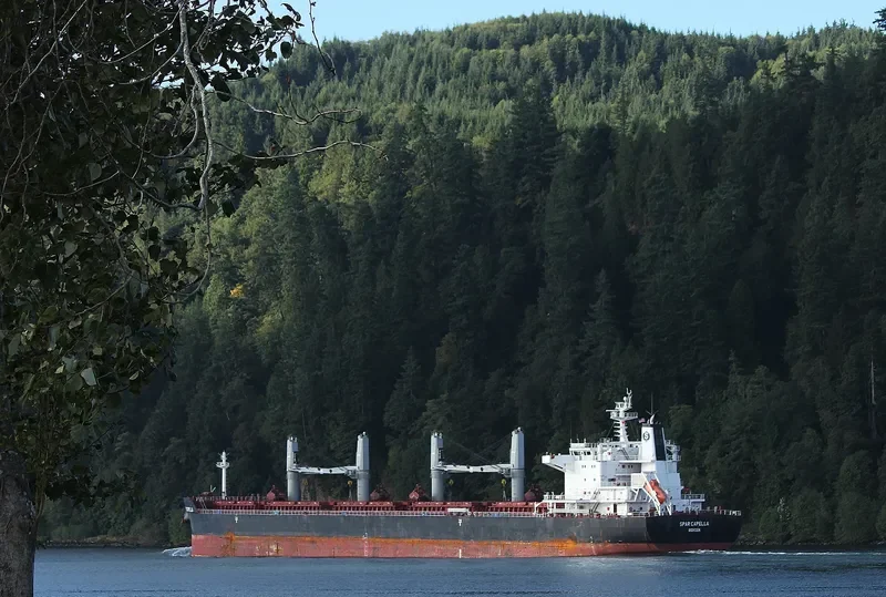 SPAR CAPELLA Bulk Carrier IMO 9490844 photo 8