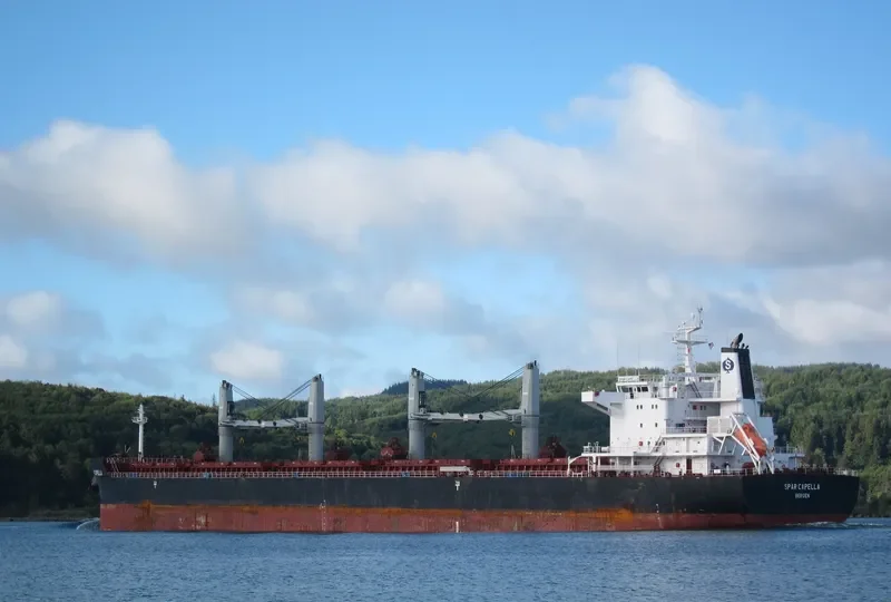 SPAR CAPELLA Bulk Carrier IMO 9490844 photo 9