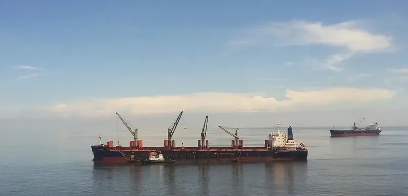 FILIA Bulk Carrier IMO 9490868 photo 8