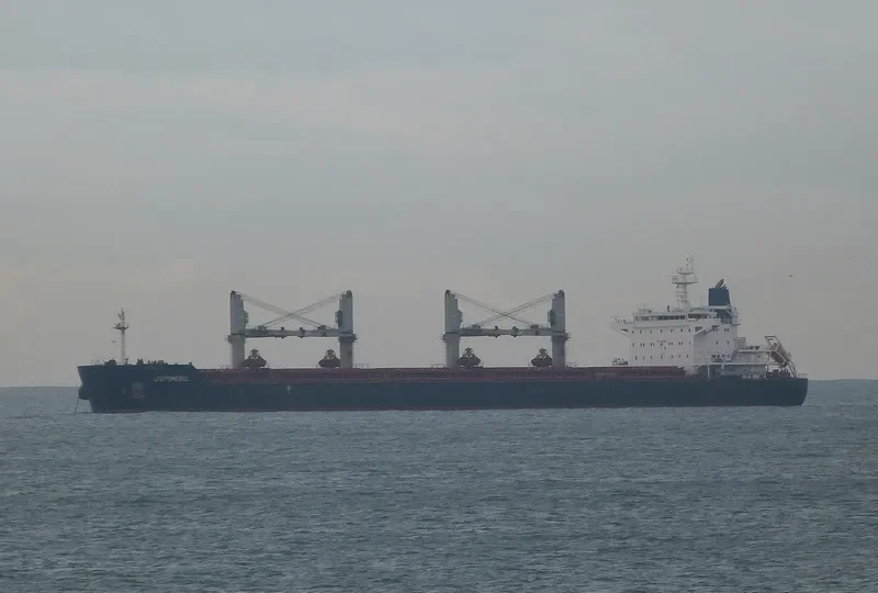 FILIA Bulk Carrier IMO 9490868 photo 10