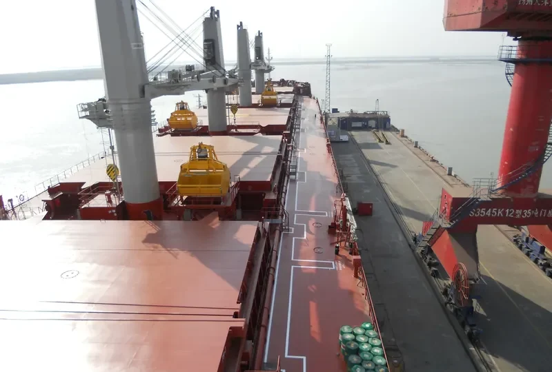 SPAR VEGA Bulk Carrier IMO 9490870 photo 3