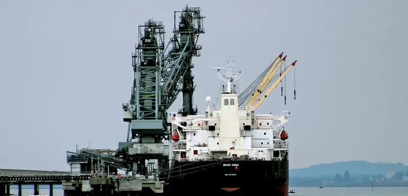 SPAR VEGA Bulk Carrier IMO 9490870 photo 5