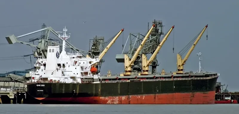 SPAR VEGA Bulk Carrier IMO 9490870 photo 6