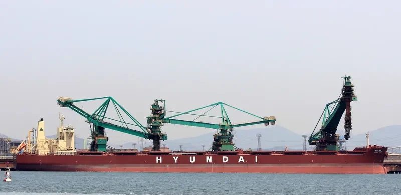 HL VISION Bulk Carrier IMO 9490909 photo 2