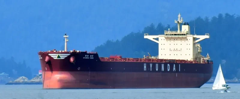 HL VISION Bulk Carrier IMO 9490909 photo 5