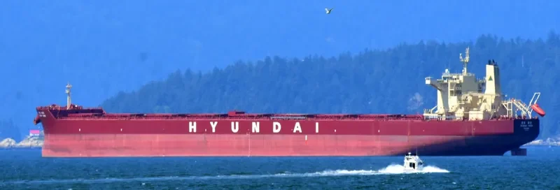 HL VISION Bulk Carrier IMO 9490909 photo 6