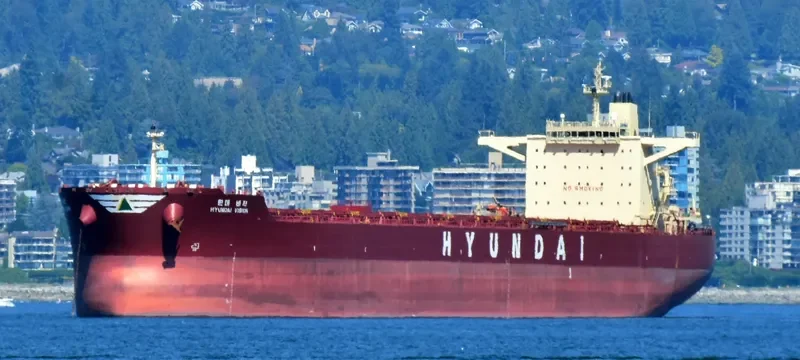 HL VISION Bulk Carrier IMO 9490909 photo 7