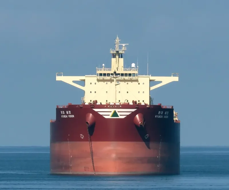 HL VISION Bulk Carrier IMO 9490909 photo 8