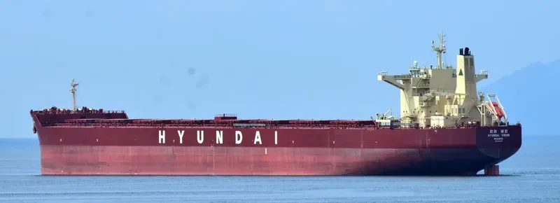 HL VISION Bulk Carrier IMO 9490909 photo 10