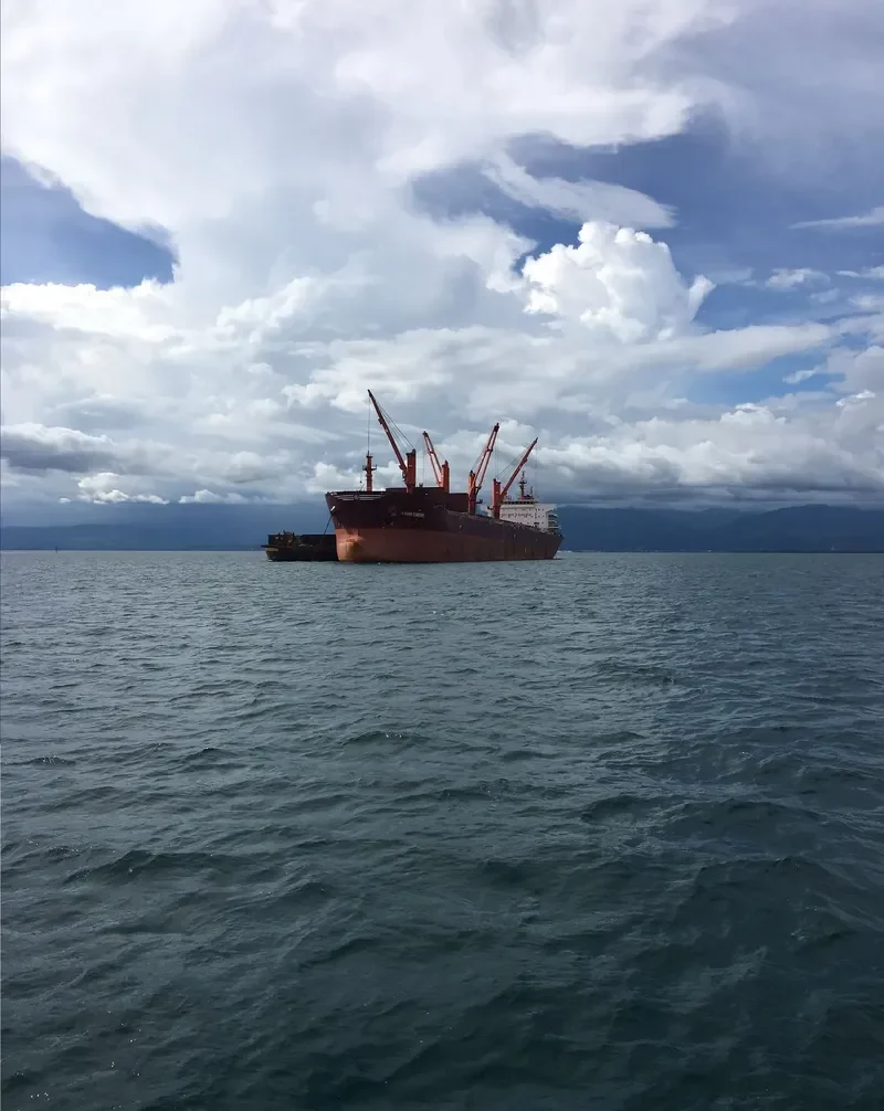 KIRAN EUROPE Bulk Carrier IMO 9491197