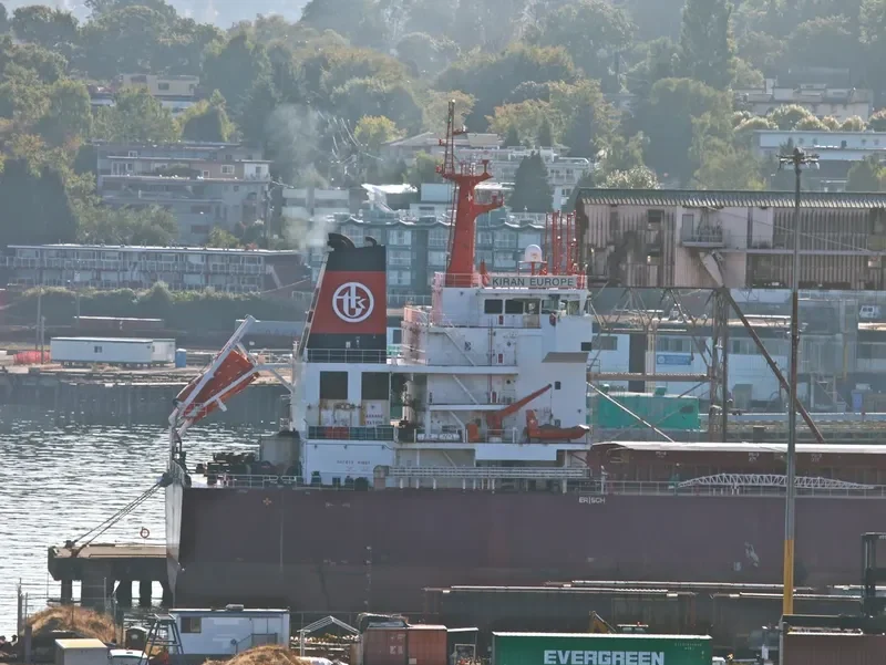 KIRAN EUROPE Bulk Carrier IMO 9491197 photo 7