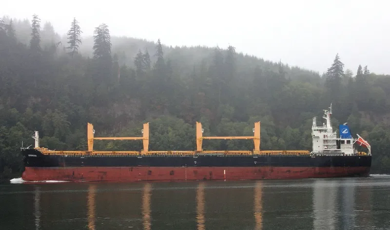 BAO EXPRESS Bulk Carrier IMO 9491202 photo 6