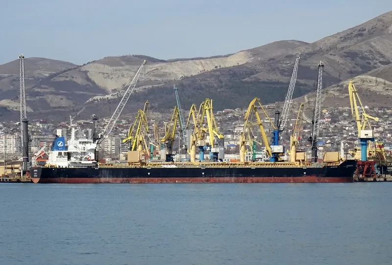 BAO QIN Bulk Carrier IMO 9491214
