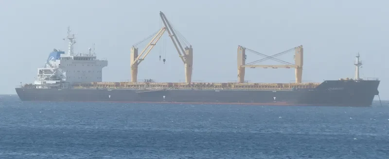 BAO QIN Bulk Carrier IMO 9491214 photo 4