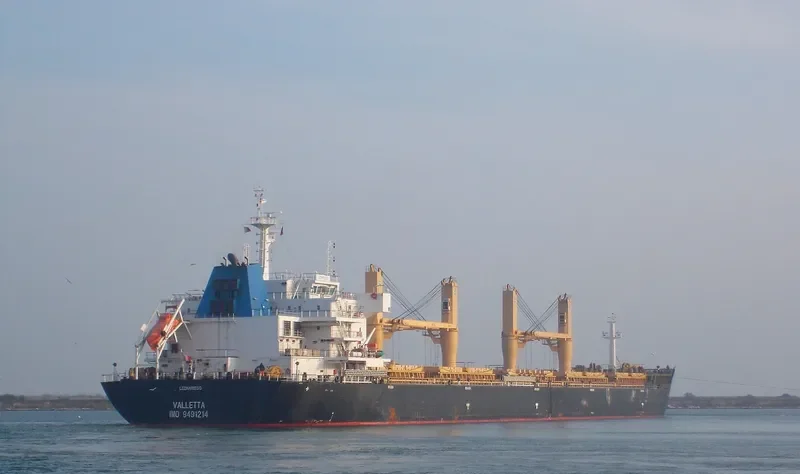 BAO QIN Bulk Carrier IMO 9491214 photo 9