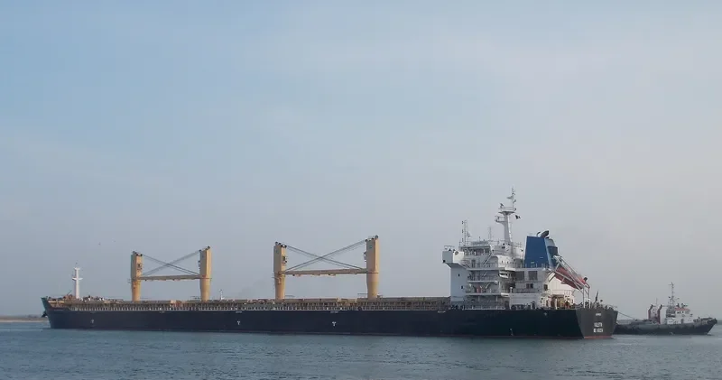BAO QIN Bulk Carrier IMO 9491214 photo 10