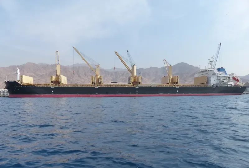 ANOGYRA Bulk Carrier IMO 9491226 photo 3