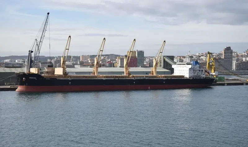ANOGYRA Bulk Carrier IMO 9491226 photo 10