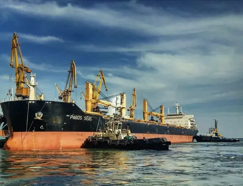 DAYANG CENTURY Bulk Carrier IMO 9491238