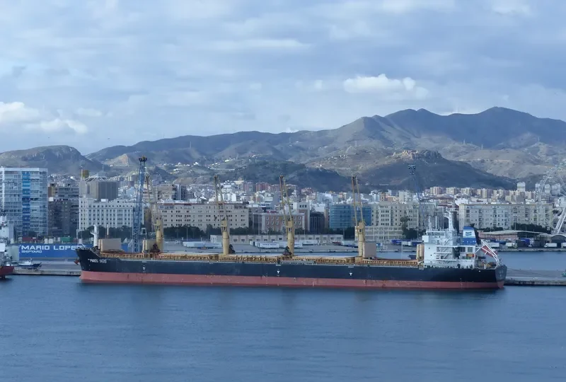 DAYANG CENTURY Bulk Carrier IMO 9491238 photo 3