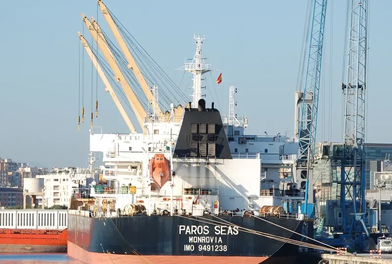 DAYANG CENTURY Bulk Carrier IMO 9491238 photo 5