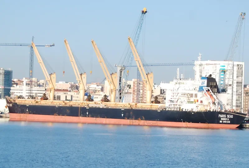 DAYANG CENTURY Bulk Carrier IMO 9491238 photo 7