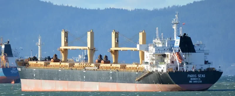 DAYANG CENTURY Bulk Carrier IMO 9491238 photo 10